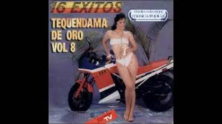 EL TEQUENDAMA DE ORO VOL 8 VARIOS  Disco Vinyl 1988 [upl. by Dodwell]