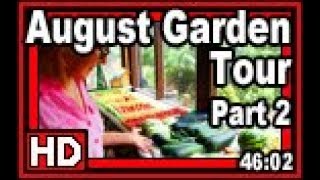 August Garden Tour p 2  Wisconsin Garden Video Blog 899 [upl. by Ann]