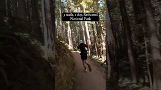 3 trails 1 day Redwood National Park 🌲 trailrunning hikingtrail nationalpark redwoods [upl. by Chaddy600]