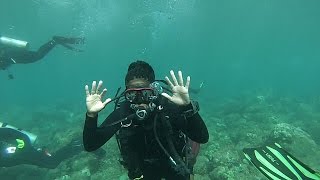 Scuba Diving Kauai HI [upl. by Grantley452]