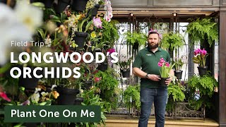 Longwood Gardens ORCHID CONSERVATORY Tour — Ep 309 [upl. by Penelopa694]