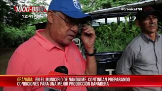 Nandaime Productores reciben bono de plantas alimenticias para el ganado  Nicaragua [upl. by Adallard540]