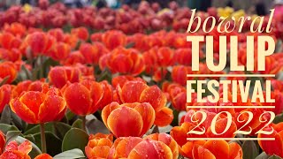 Bowral Tulip Festival 2022 [upl. by Oiramaj]