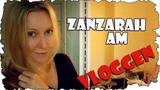 Zanzarah am Vloggen 58 Eine Bordüre fürs Bad  Wohnungsupdate  VLog [upl. by Dupuis]