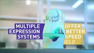 Meet Our Protein Expression Doll [upl. by Ewer614]