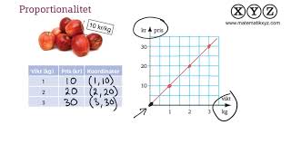 X 41 Proportionalitet [upl. by Terej]