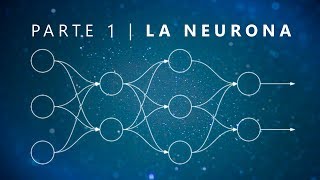 ¿Qué es una Red Neuronal Parte 1  La Neurona  DotCSV [upl. by Kcirb]