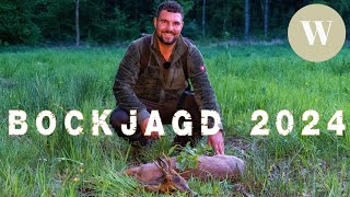 Bockjagd im Mai 2024  WaldGeist  4K [upl. by Atirac]