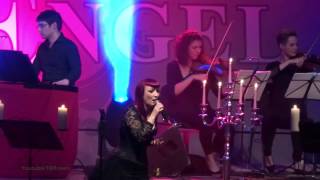 BlutEngel LIVE quotSeelenschmerz Klassikquot Berlin Nov 09 2013 [upl. by Linzy]