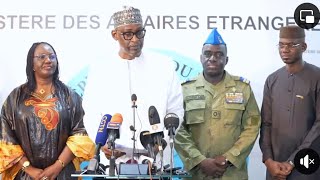 Infos de lAES  Le Patriote Africain Parle du Niger du Mali et du Burkina Faso [upl. by Senalda]