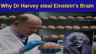 Why Dr Harvey steal Einsteins Brain  A shocking fact about Albert Einstein [upl. by Ydnab949]