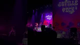 Orville Peck live Curse of the Blackened Eye The Armory Minneapolis Minnesota 6112024 [upl. by Nipahc]