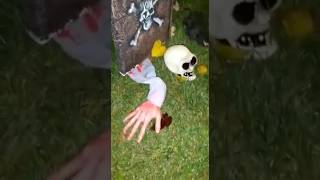 Halloween 2019oldmemories halloween 2019 decoration spookyseason october funnyvideo trending [upl. by Astiram381]