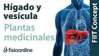 🎉 SOLUCIONES a los PROBLEMAS MÁS COMUNES  Auriculares i12 TWS en español [upl. by Karlens]