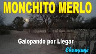 MONCHITO MERLO  Galopando por Llegar [upl. by Guendolen]