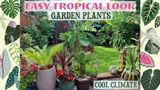 Easy Tropical Look Garden Plants  HardyEasy OverWintering 🌴🌺 [upl. by Atat109]