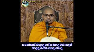 තරුණියක් වැළඳ ගන්න එකද ගිනි කදක් වැළඳ ගන්න එකද හොද  Ven  Kelaniye Ajitha Thero පිංබණ [upl. by Doralynn]