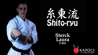 Shorin Ryu Karate applications [upl. by Amero99]