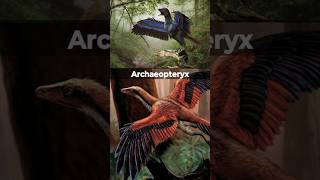 Archaeopteryx The Missing Link Between Dinosaurs and Birds archaeopteryx DinosaurToBird shorts [upl. by Wootan456]