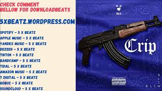 EPIC  Trap  Type Beat  Crip Hood  2024 [upl. by Joseito]