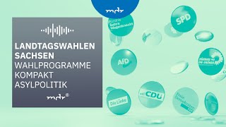 Asylpolitik – Das planen Sachsens Parteien  Podcast Wahlprogramme kompakt  MDR [upl. by Burty]