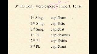 3rd IO Conjugation Verbs in Latin [upl. by Eddie]