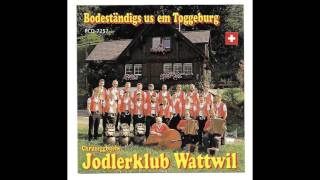 Jodlerklub Wattwil quotquotAlpSummerquot [upl. by Ximenes766]