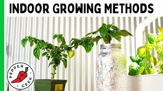 Tips For Growing Peppers Indoors  5 Methods For Beginners  Pepper Geek [upl. by Gustave]