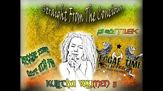 Culture Vol 3 Reggae Mixtape  DJ Gamlek 2010 [upl. by Yarised]