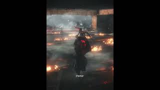 One of the best fight in sekiro [upl. by Akemak]