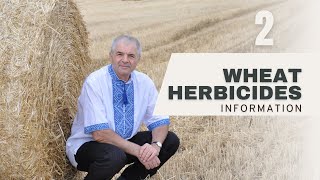 Herbicide 2 Timing in Wheat Farming Atrazine Metolachlor and More [upl. by Roseanne665]