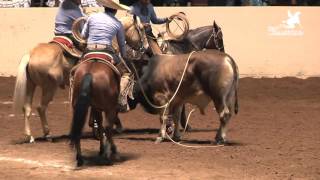 Las mejores 5 Ternas – Nacional Charro Querétaro 2015 [upl. by Cacia]