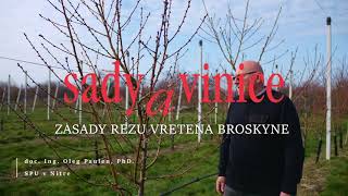 Sady a vinice I Zásady rezu vretena broskyne [upl. by Deering860]