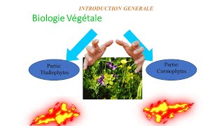 Biologie végétale S3 INTRODUCTION GENERALE [upl. by Olson]