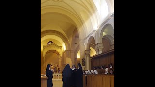 Benedictines of Mary Queen of Apostles  About Us [upl. by Xanthe]