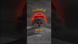 029 Surah Al Ankabut by Mishary Al Afasy iRecite [upl. by Lan]