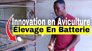 Innovation en Aviculture Projet Avicole Semiindustriel en batteries ou cages [upl. by Gaudet]