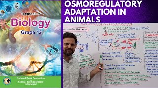 Osmoregulatory Adaptation in Animals  Class 12  FBISE  NBF [upl. by Anuayek]