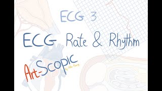 ECG 3 Rate and rhythm [upl. by Sephira]