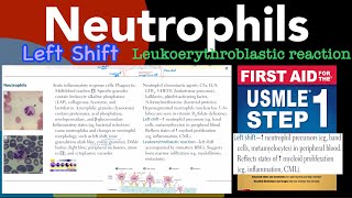 Neutrophils Left shift Leukoerythroblastic reaction in HindiUrdu by first aid for USMLE step 1 [upl. by Deutsch]