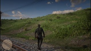 Random hunting in 2024 Red Dead Redemption 2 [upl. by Nylrebma]