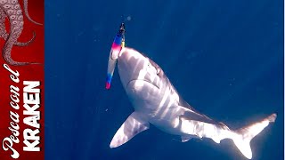 TIBURONES NO ME DEJARON PESCAR  Pesca En Kayak  hobie kayak [upl. by Jordans]