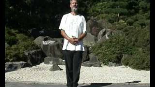 Stehende Säule Qigong Ausbildung Dr Langhoff [upl. by Davon]