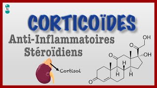 Questce quun Corticoïde  Antiinflamatoires Stéroidïens [upl. by Ebert]