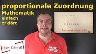 Proportionale Zuordnung  Mathematik  Lehrerschmidt  einfach erklärt [upl. by Zeke]