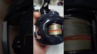 Daiwa steez sv tw 24 fishingreels fishing daiwa daiwafishing [upl. by Hally]