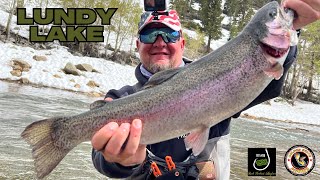 Giant Trout at Lundy Lake [upl. by Macilroy]