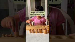 Knobbed cylinder Montessori  activity montessori [upl. by Mitzl645]