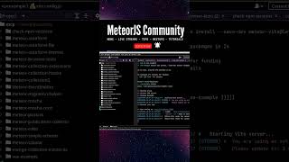 MeteorJS 3  Vue 3  Vite  Tailwind Project Generator shorts meteorjs javascript 2024 [upl. by Toshiko]