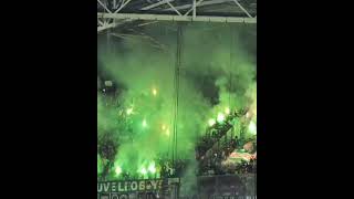 PYRO Sporting CP CHAMPIGNONS Leque IN PSV STADION vuurwerk pyro championsleague [upl. by Mairim]